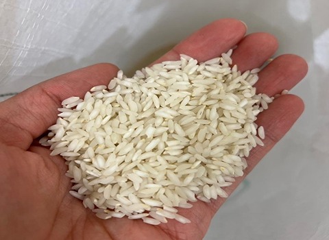 قیمت برنج چمپا میداوود + خرید باور نکردنی